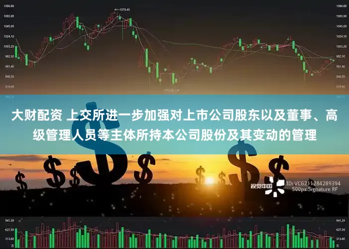 大财配资 上交所进一步加强对上市公司股东以及董事、高级管理人员等主体所持本公司股份及其变动的管理