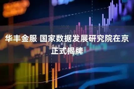 华丰金服 国家数据发展研究院在京正式揭牌